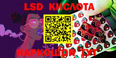 spice Добрянка