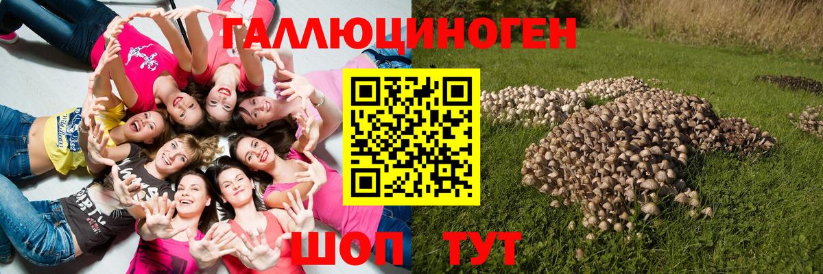 Псилоцибиновые грибы MAGIC MUSHROOMS Хабаровск