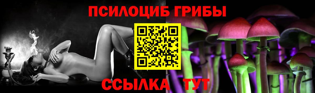 Псилоцибиновые грибы MAGIC MUSHROOMS  Вход с VPN  Хабаровск 